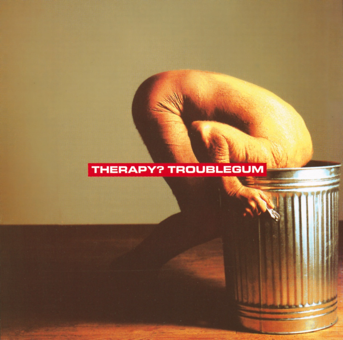 Album cover for Troublegum by Therapy?