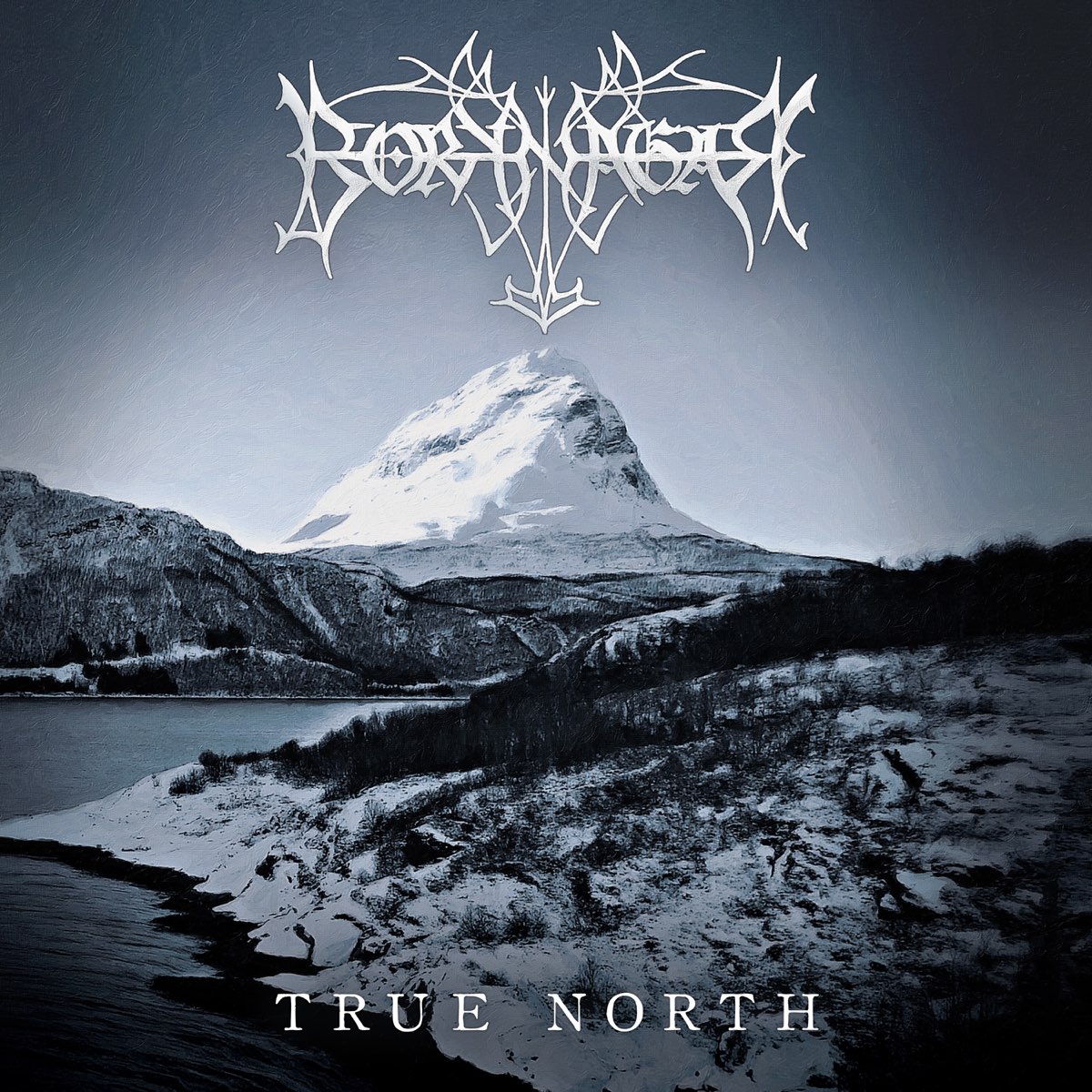 Album cover for True North by Borknagar