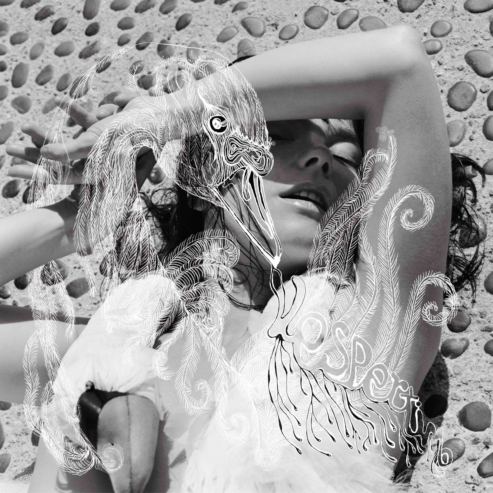 Album cover for Vespertine by Björk