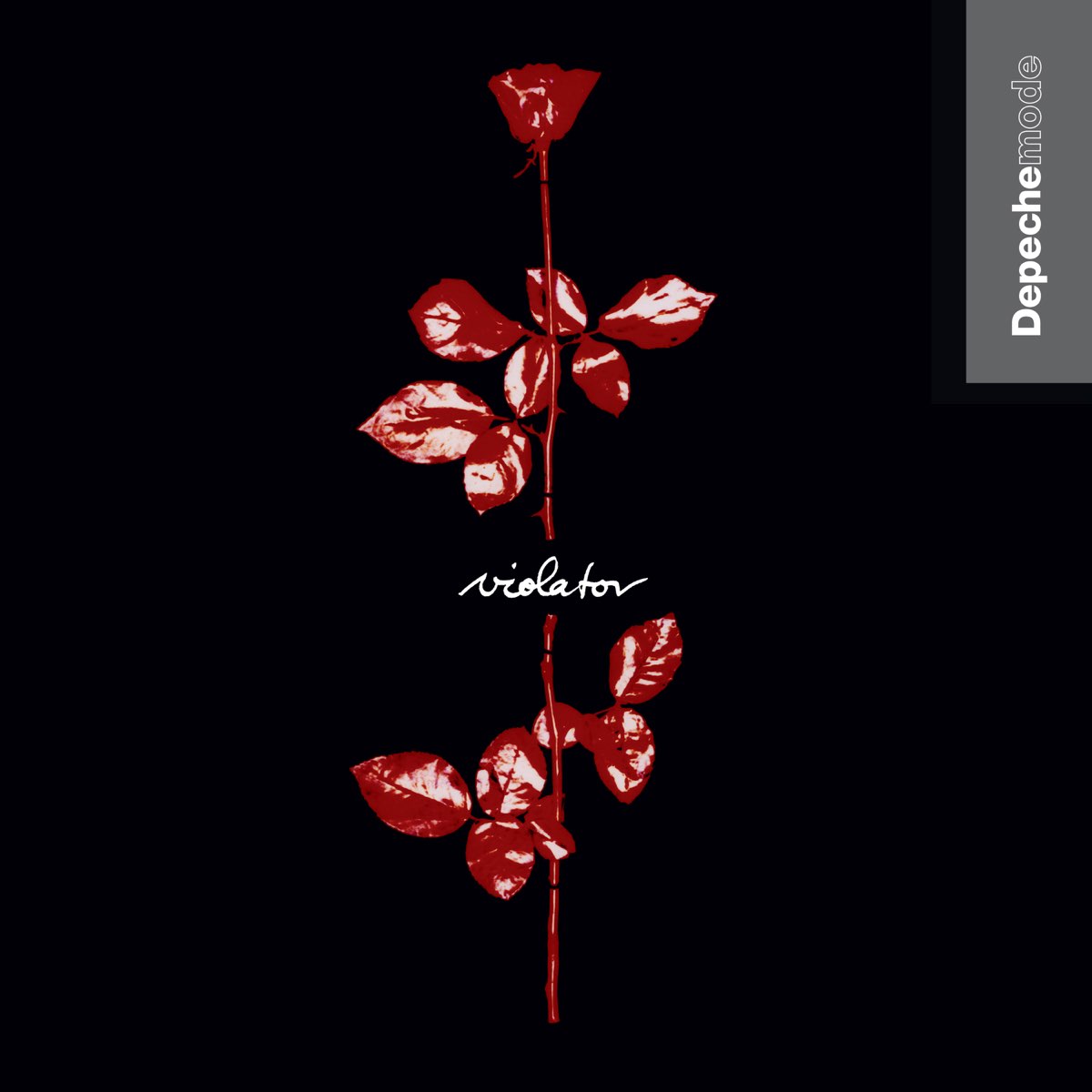 Album cover for Violator by Depeche Mode
