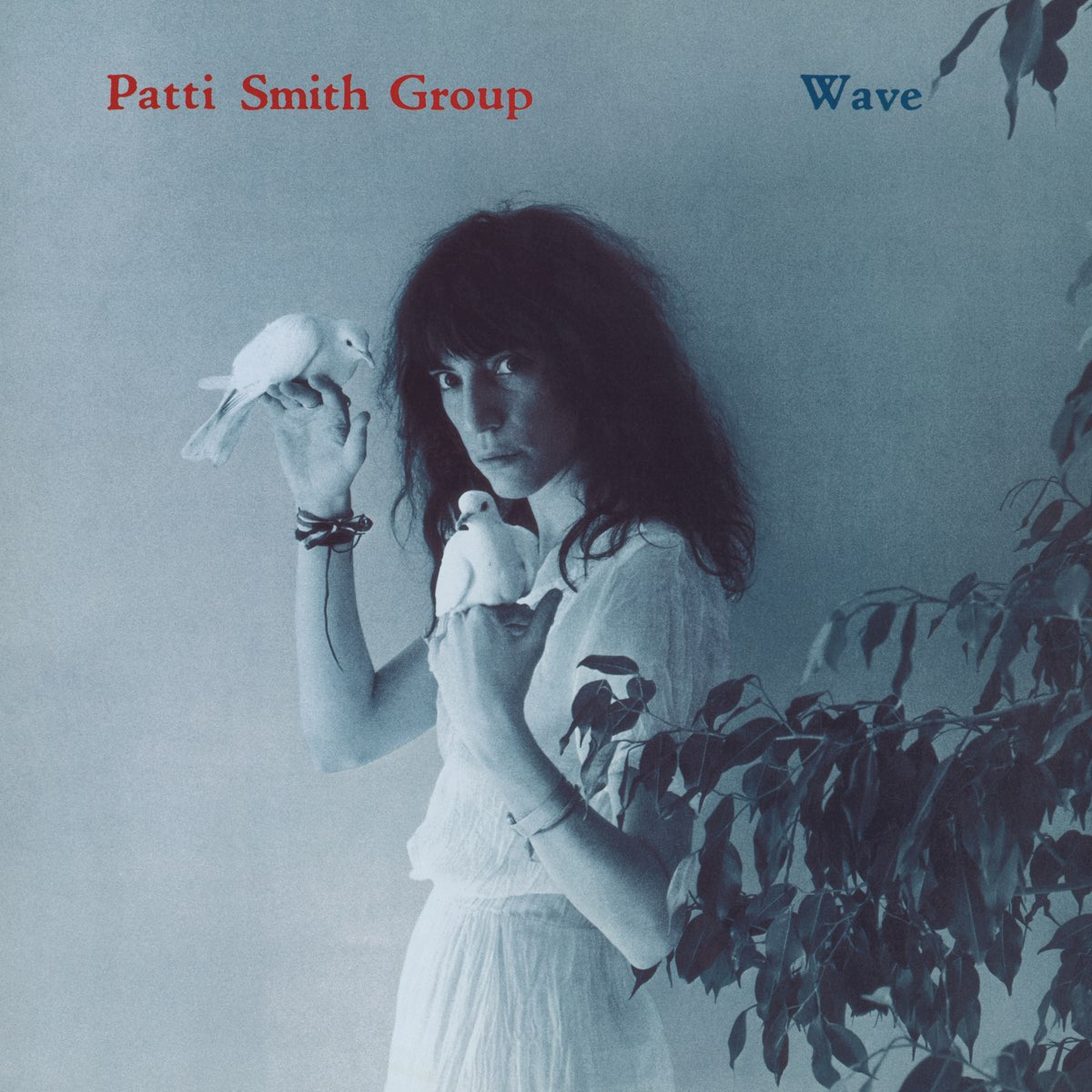 Album cover for Wave by Patti Smith Group