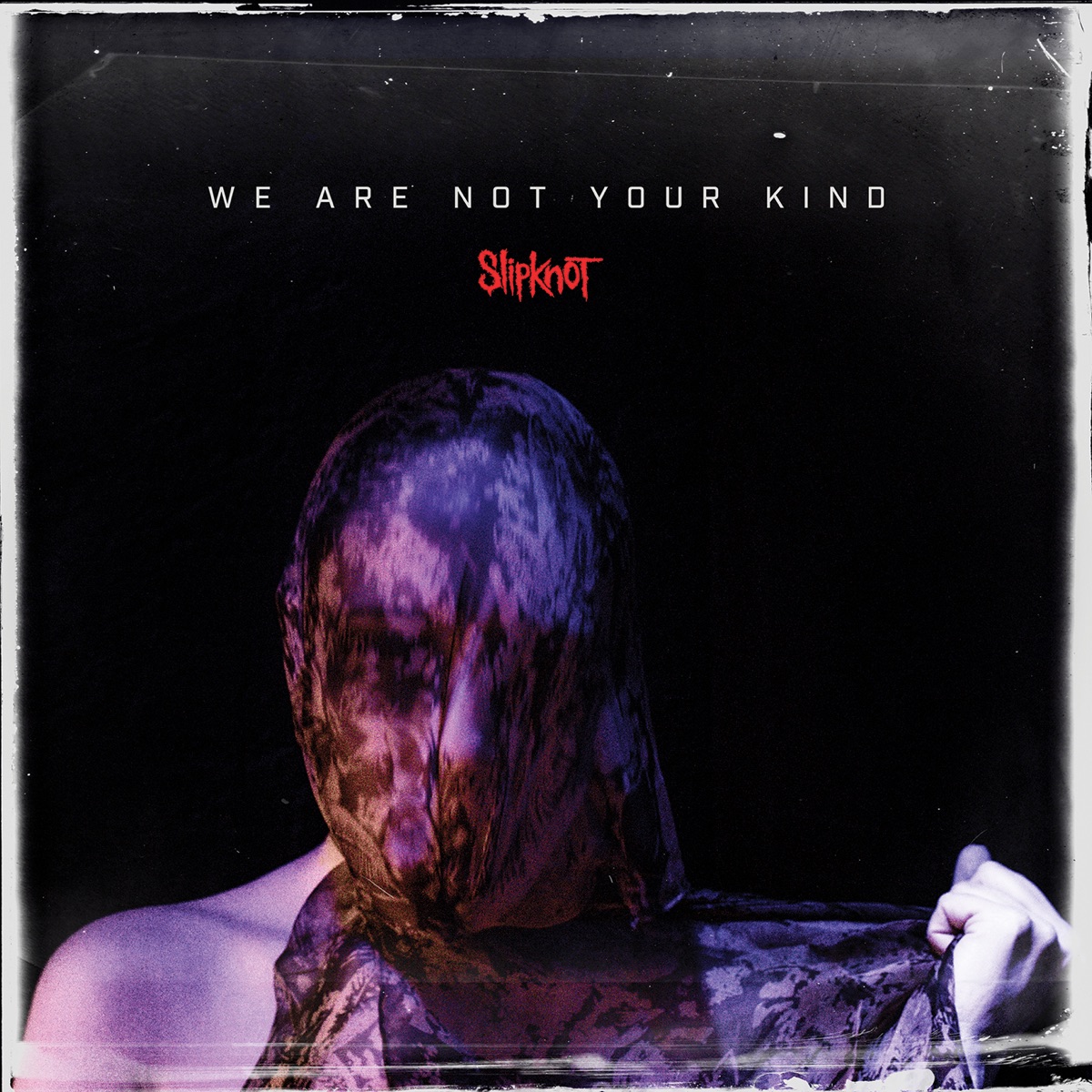 Album cover for We Are Not Your Kind by Slipknot
