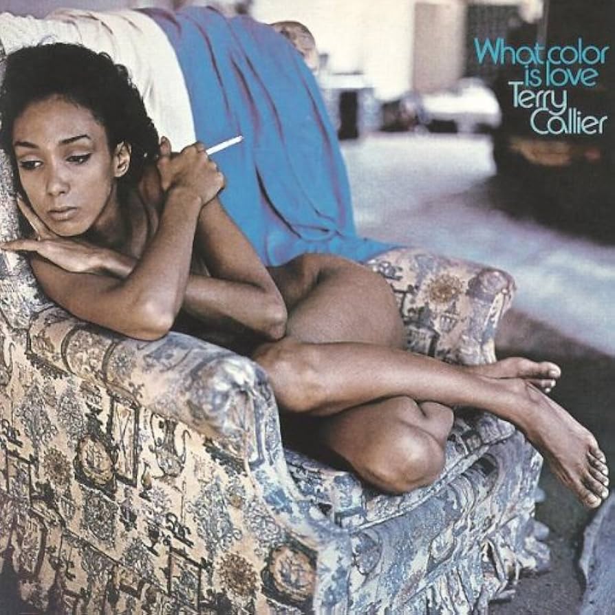 Album cover for What Color Is Love by Terry Callier