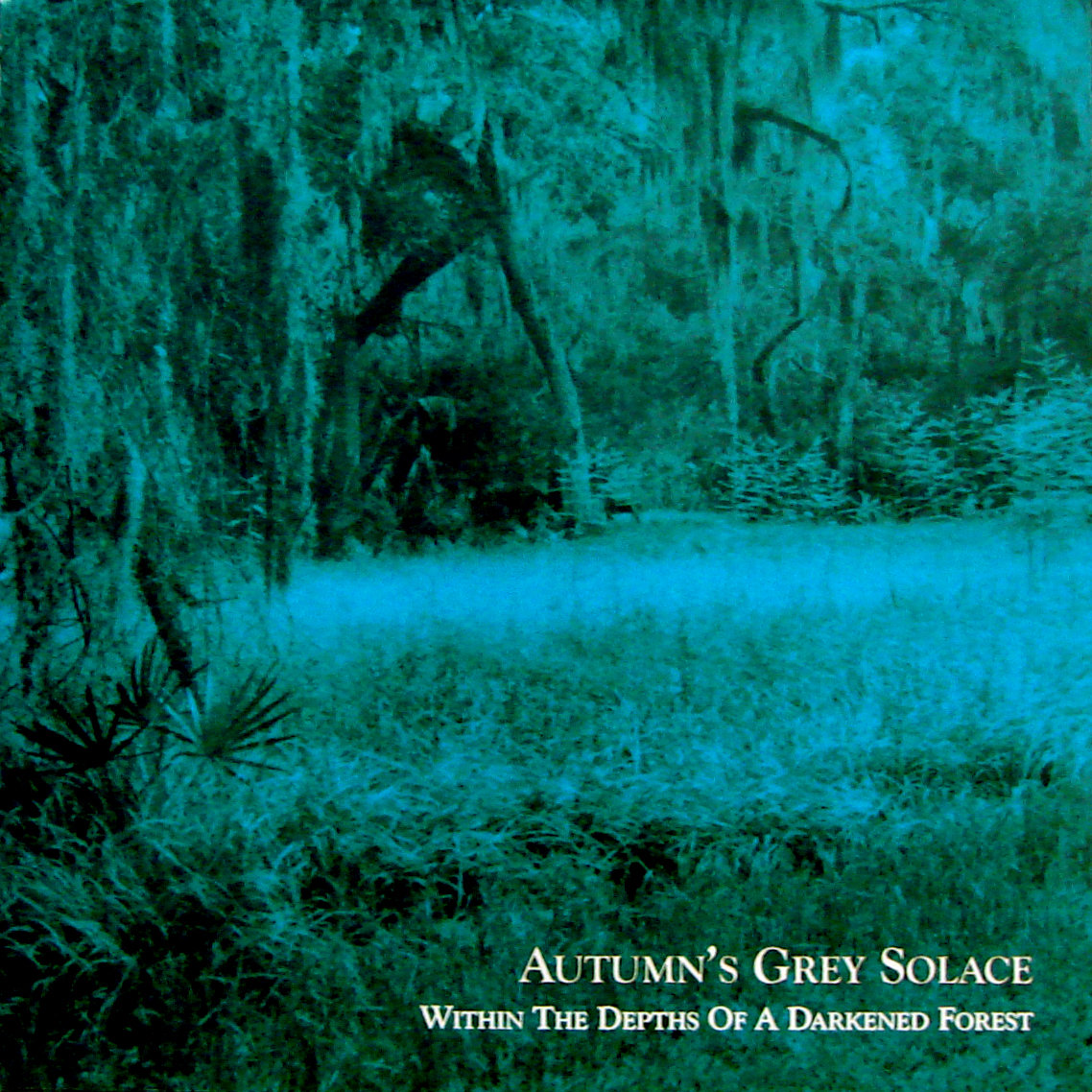 Album cover for Within the Depths of a Darkened Forest by Autumn's Grey Solace