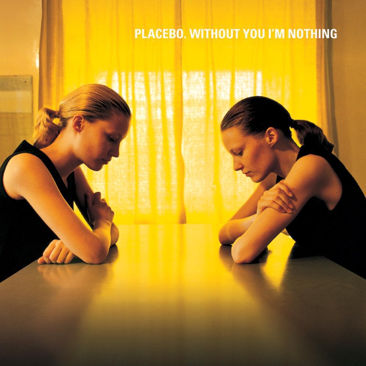 Album cover for Without You I'm Nothing by Placebo