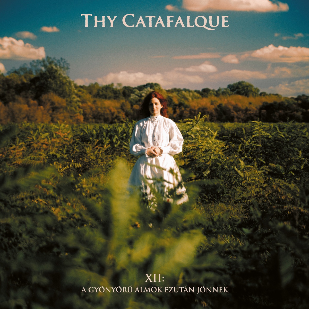 Album cover for XII: A gyönyörű álmok ezután jönnek by Thy Catafalque